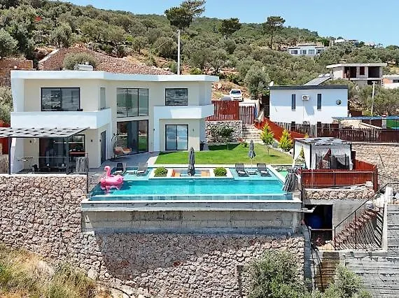 Luxury Modern With Private Pool Villa *